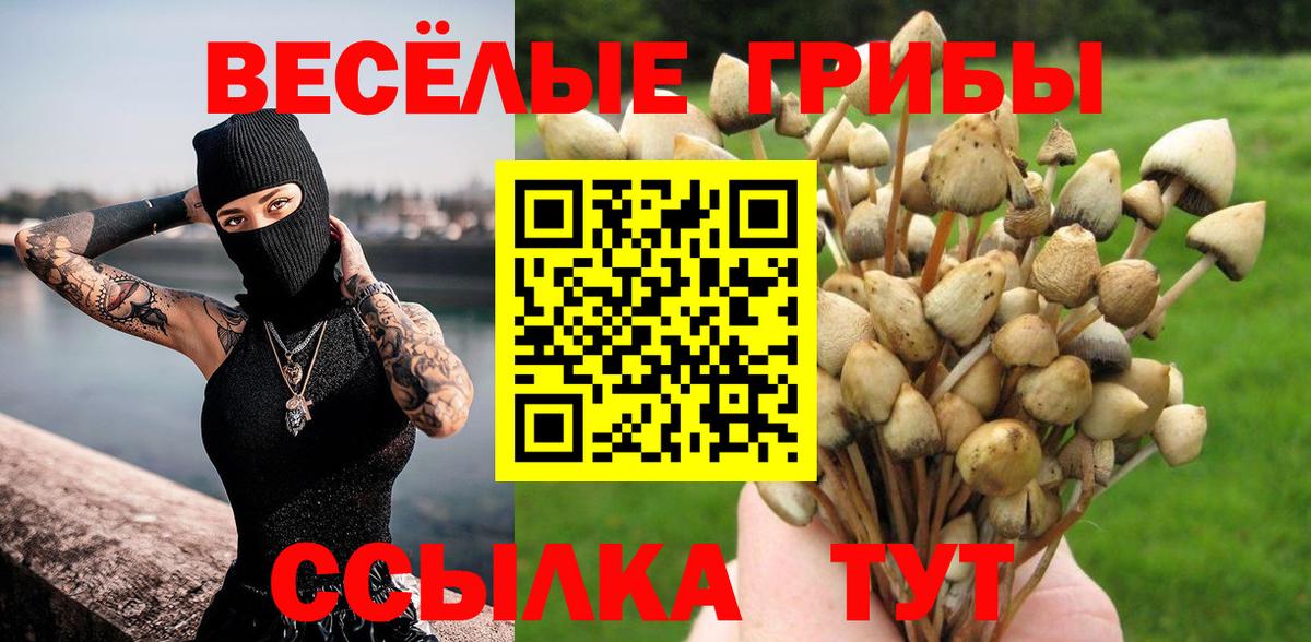 Псилоцибиновые грибы прущие грибы  Псилоцибиновые грибы Psilocybine cubensis  Вход с VPN  Советский 