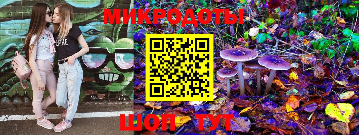 Псилоцибиновые грибы мухоморы Советский